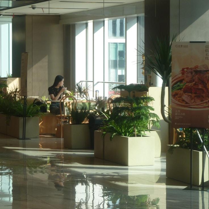 Family-friendly shopping and daily life in United States